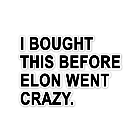 I Bought Before ELON WENT CRAZY Tesla Vinyl Bumper Sticker Decal Accessory Musk