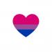 bisexual-hjerte