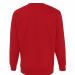 Sweatshirt-landsholdstrøje-ryg-rød