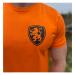 Nederland-nationaal-elftal-t-shirt-emblem