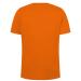 Nederland-nationaal-elftal,-t-shirt,-back