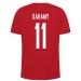 Danmark-landshold,-landsholdstrøje,-t-shirt,-daramy-11,-danish-red2