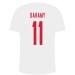 Danmark-landshold,-landsholdstrøje,-t-shirt,-daramy-11,-white2