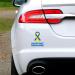 support-ukraine-car